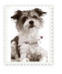 ChewyStamp