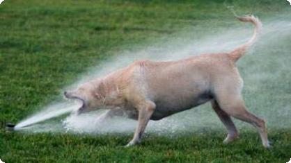 image030