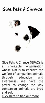 Give Pets a Chance