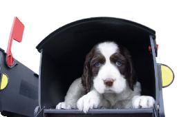 MailBox