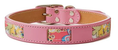 Hippy Chic Dog Collar