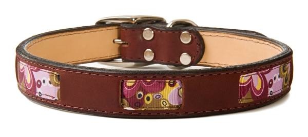 Hippy Chic Dog Collar